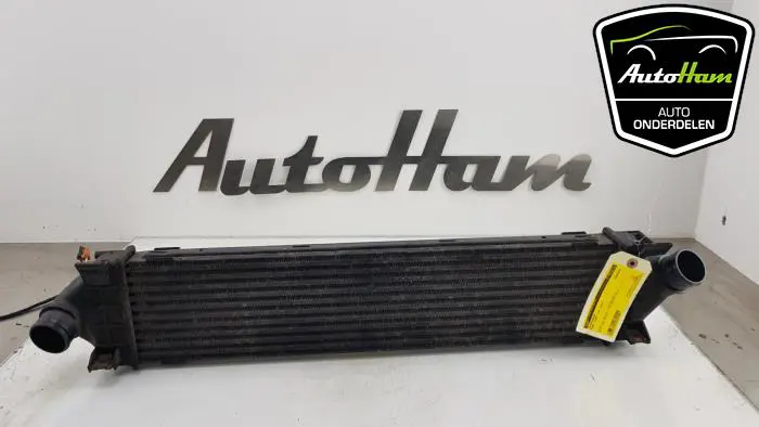Intercooler Ford S-Max