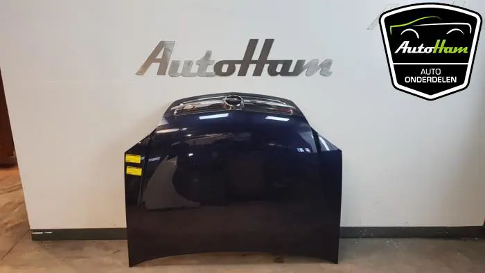 Motorkap Opel Vectra