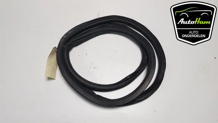 Portierrubber 4Deurs rechts-achter Volkswagen Passat