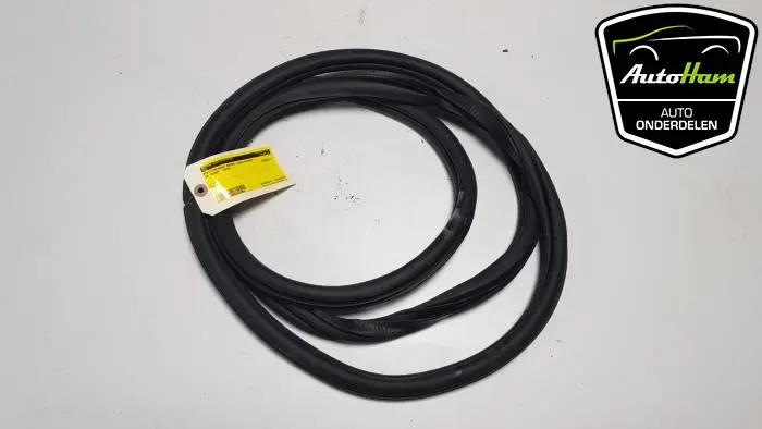 Portierrubber 4Deurs links-achter Volkswagen Passat