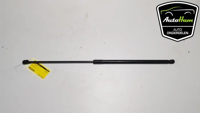Gasdemper Motorkap rechts Volkswagen Passat