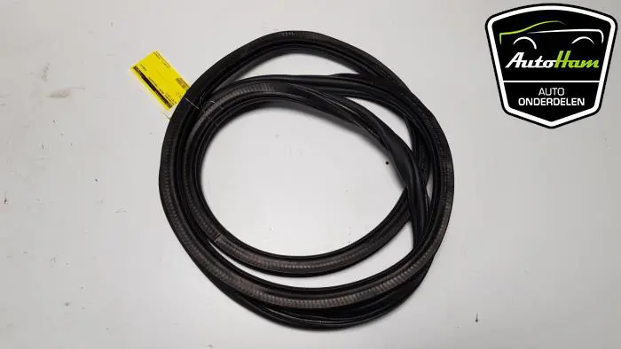 Portierrubber 4Deurs links-achter Volkswagen Golf