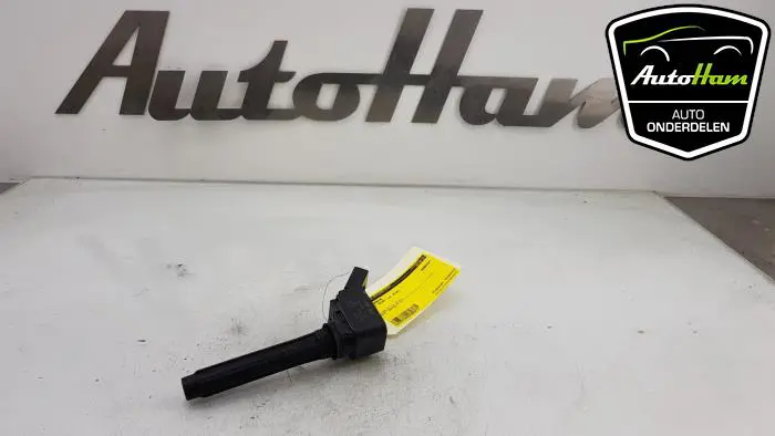 Pen Bobine Seat Ibiza