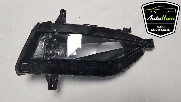 Mistlamp rechts-voor Volkswagen Golf