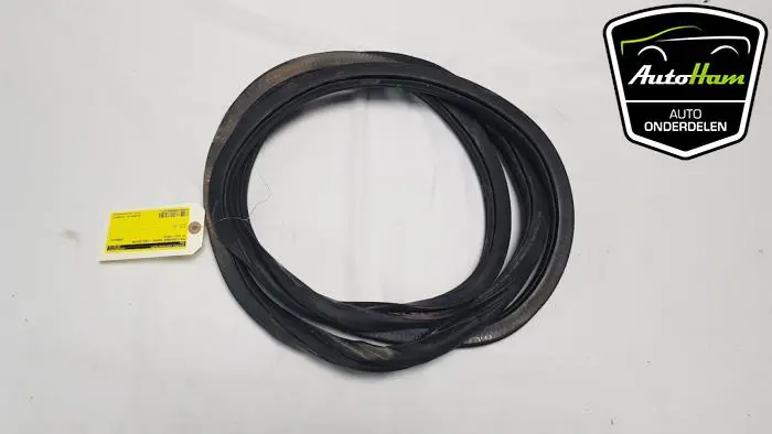 Portierrubber 4Deurs links-achter Volkswagen Golf