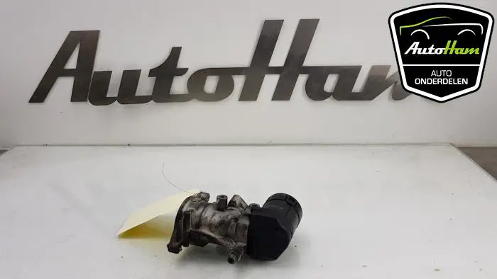 EGR Klep Ford S-Max