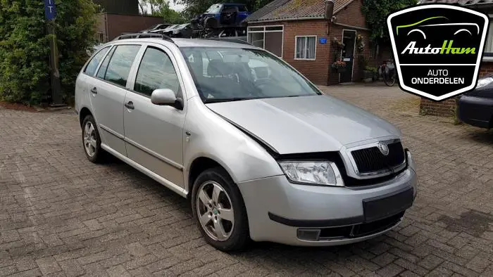 Buitenspiegel rechts Skoda Fabia