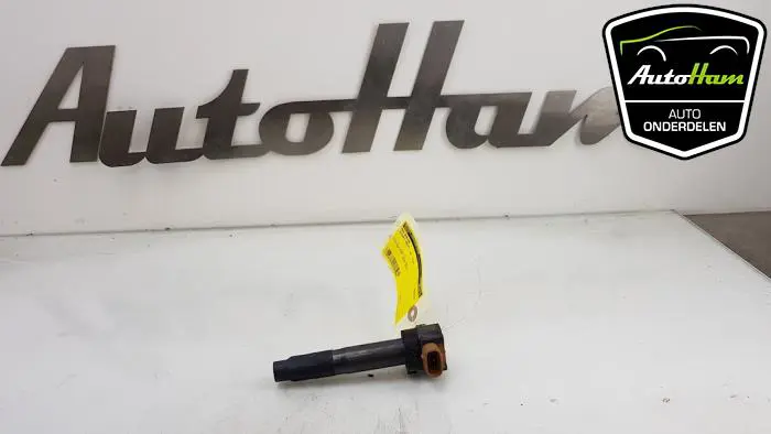 Pen Bobine Suzuki Swift