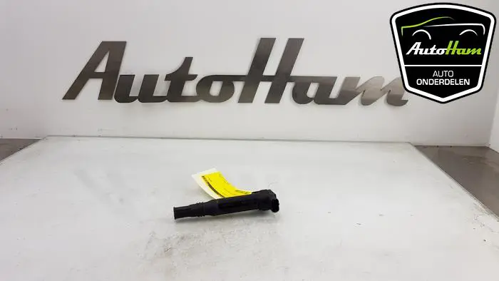 Pen Bobine Peugeot 208
