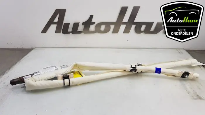 Airbag hemel rechts Volkswagen Golf