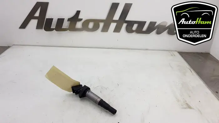 Pen Bobine Citroen C3 Picasso