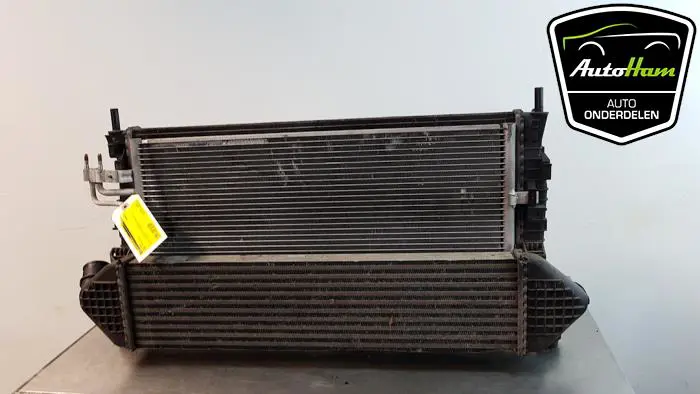 Koelerset Ford Focus