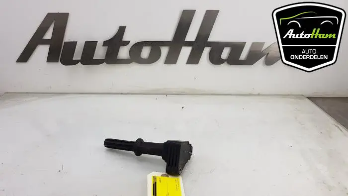 Pen Bobine Opel Karl