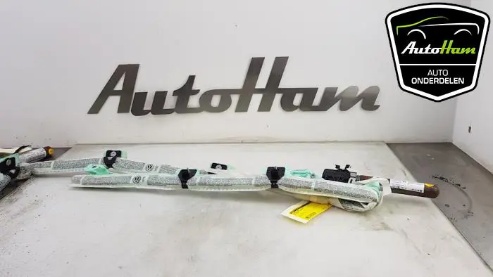 Airbag hemel rechts Volkswagen Passat