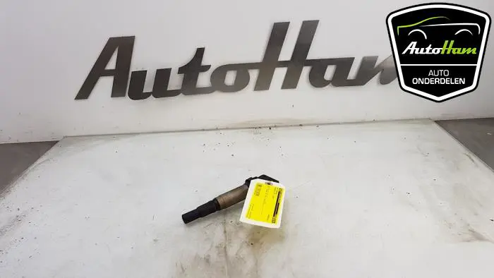 Pen Bobine Peugeot 207