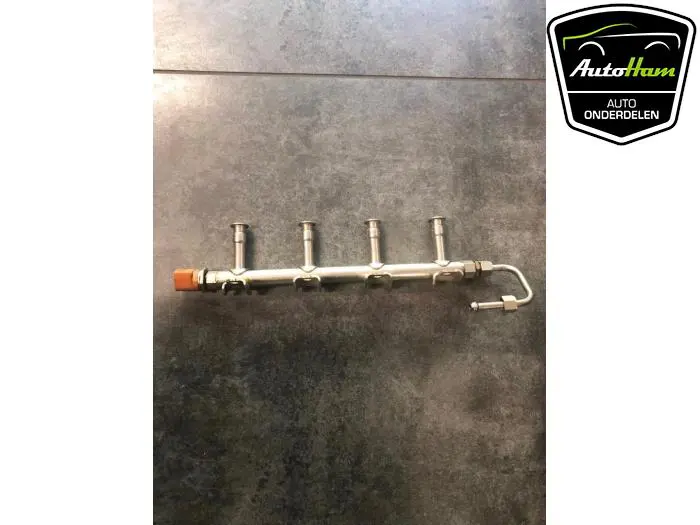 Galerij (Injectie) Volkswagen Golf