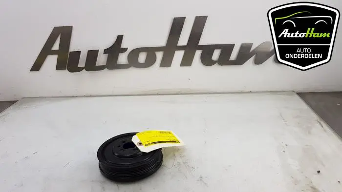 Krukas Poelie Volkswagen Golf