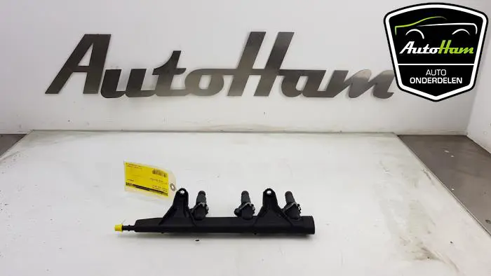 Galerij (Injectie) Peugeot 208