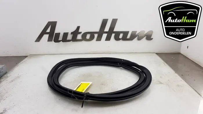 Portierrubber 4Deurs links-achter Audi A3