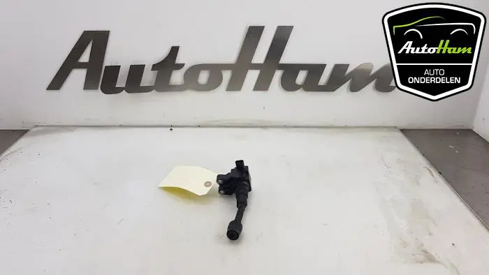 Pen Bobine Ford Focus