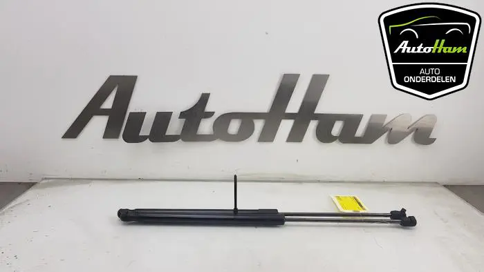 Set Gasdempers Achterklep Ford Fiesta