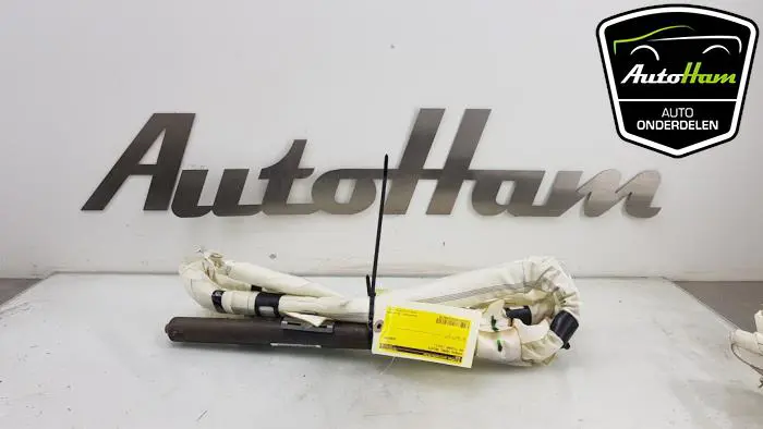 Airbag hemel rechts Volkswagen Tiguan