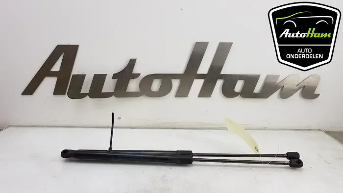 Set Gasdempers Achterklep Ford Fiesta