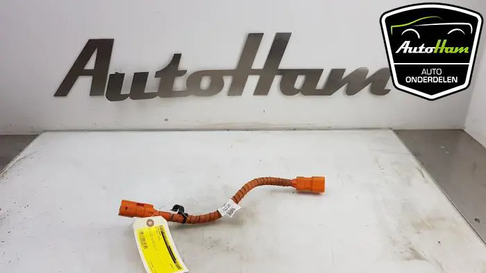 HV kabel (hoog voltage) Volkswagen Golf
