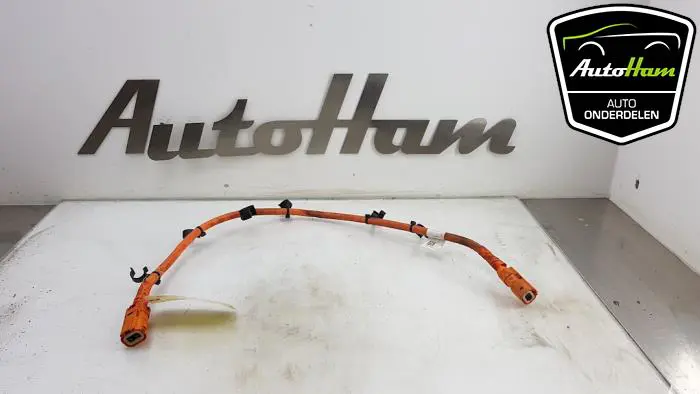 HV kabel (hoog voltage) Volkswagen Golf