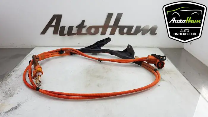 HV kabel (hoog voltage) Volkswagen Golf