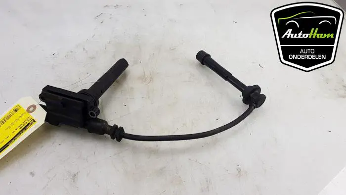 Pen Bobine Suzuki Wagon R+