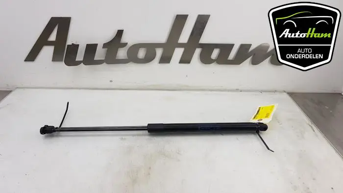 Set Gasdempers Achterklep Ford Focus