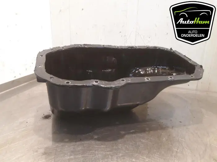 Carterpan Seat Ibiza
