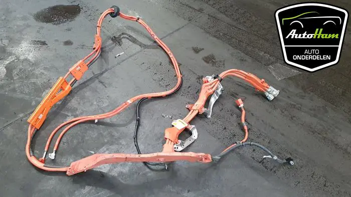 Kabel (diversen) Lexus IS 300