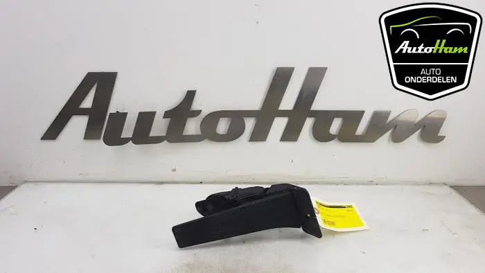 Gaspedaal BMW 3-Serie