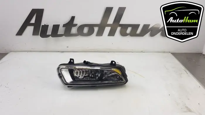 Mistlamp rechts-voor Volkswagen Polo