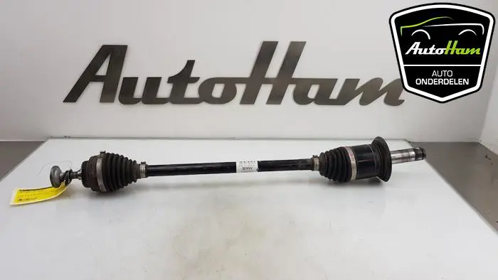 Aandrijfas links-achter BMW 2-Serie