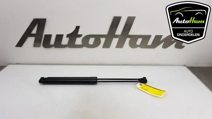 Set Gasdempers Achterklep Dacia Sandero