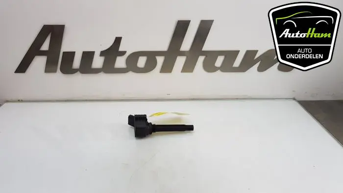 Pen Bobine Audi TT