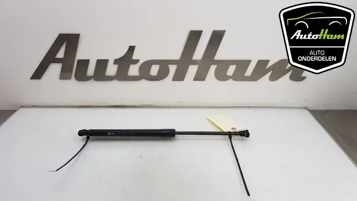 Set Gasdempers Achterklep Peugeot 208