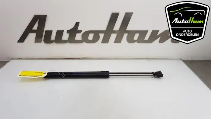 Set Gasdempers Achterklep Ford Fiesta