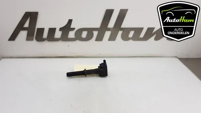 Pen Bobine Opel Karl