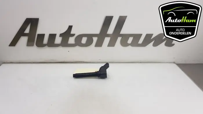 Pen Bobine Volkswagen Polo