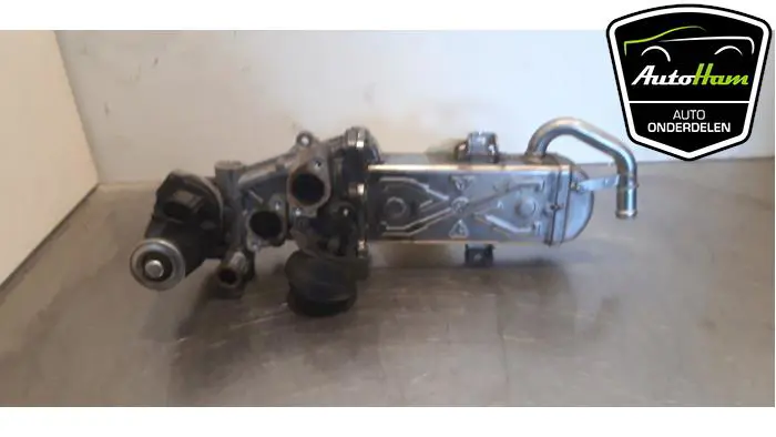 EGR koeler Volkswagen Tiguan