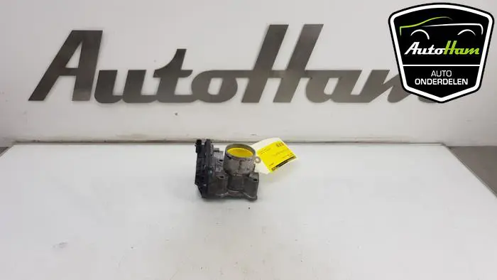 Gasklephuis Renault Twingo