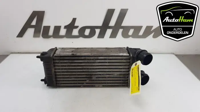 Intercooler Citroen C4