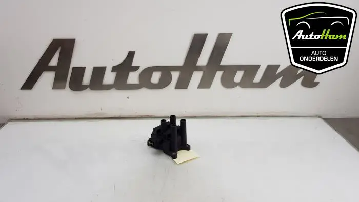 Bobine Ford B-Max