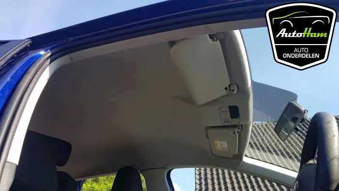Airbag hemel rechts Seat Ibiza