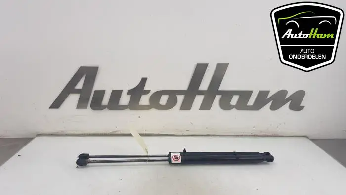 Set Gasdempers Achterklep Ford B-Max