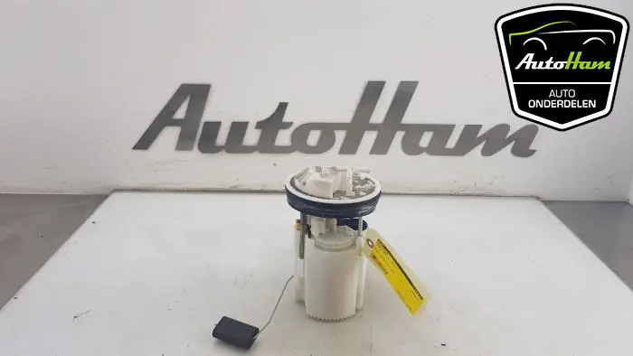Benzinepomp Ford B-Max